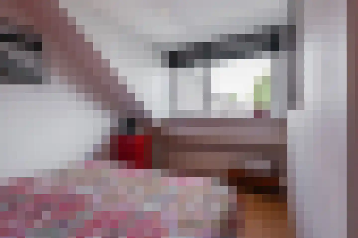 Hoge Larenseweg 47 Hilversum thumbnail 21