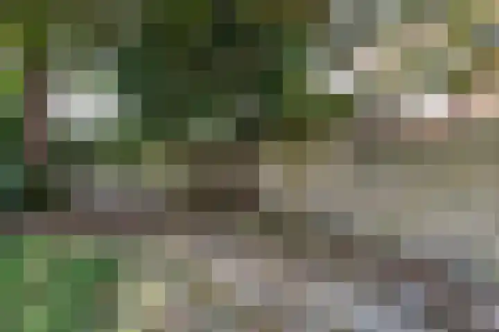 Hoge Larenseweg 64 Hilversum thumbnail 5