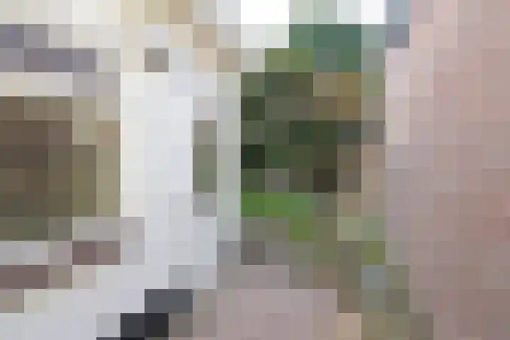 Hoge Larenseweg 64 Hilversum thumbnail 7