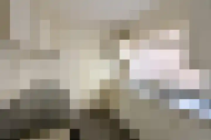 Hoge Larenseweg 64 Hilversum thumbnail 8