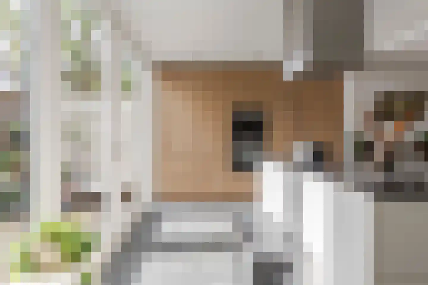 Hoge Larenseweg 74 Hilversum thumbnail 18