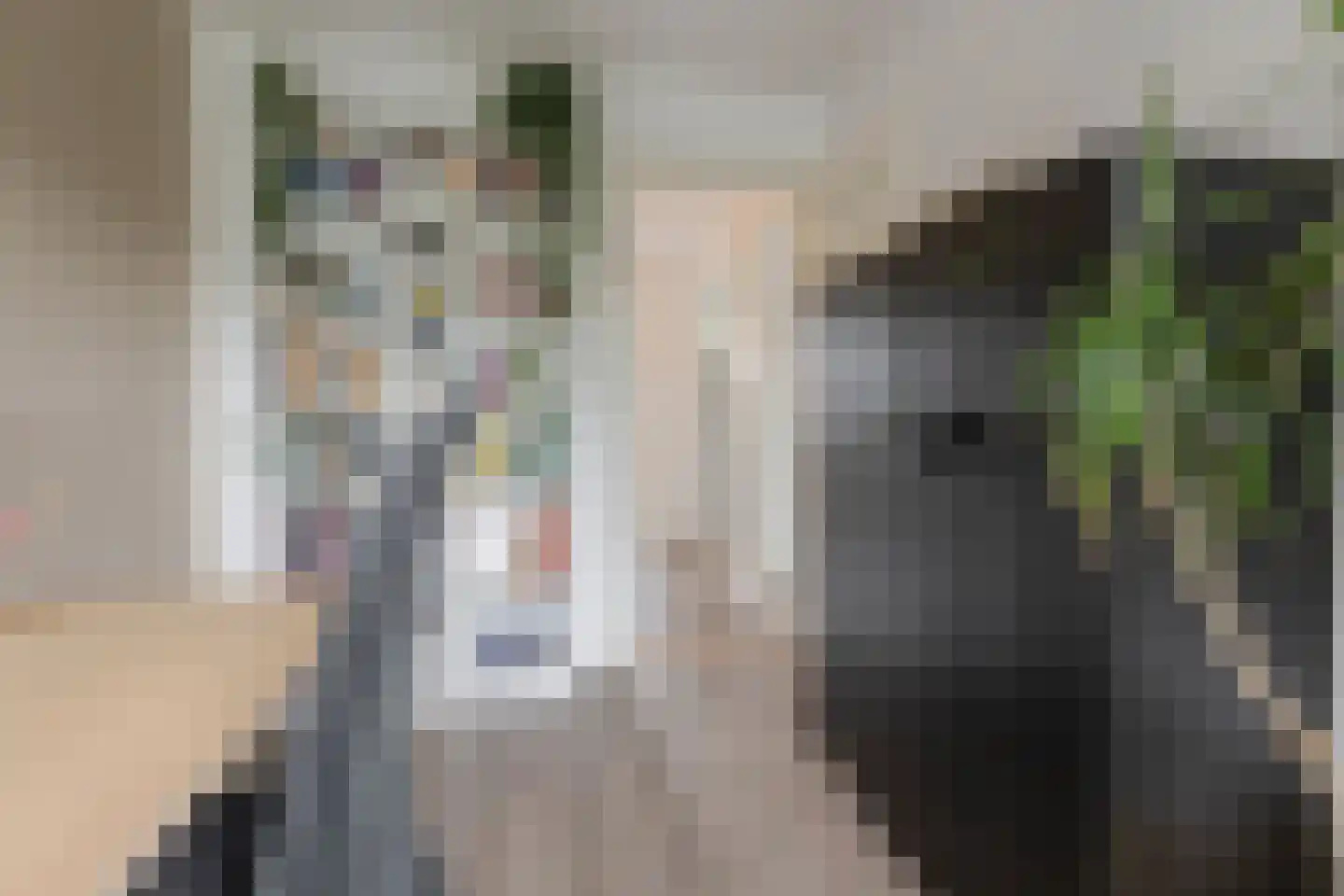 Hoge Larenseweg 74 Hilversum thumbnail 35