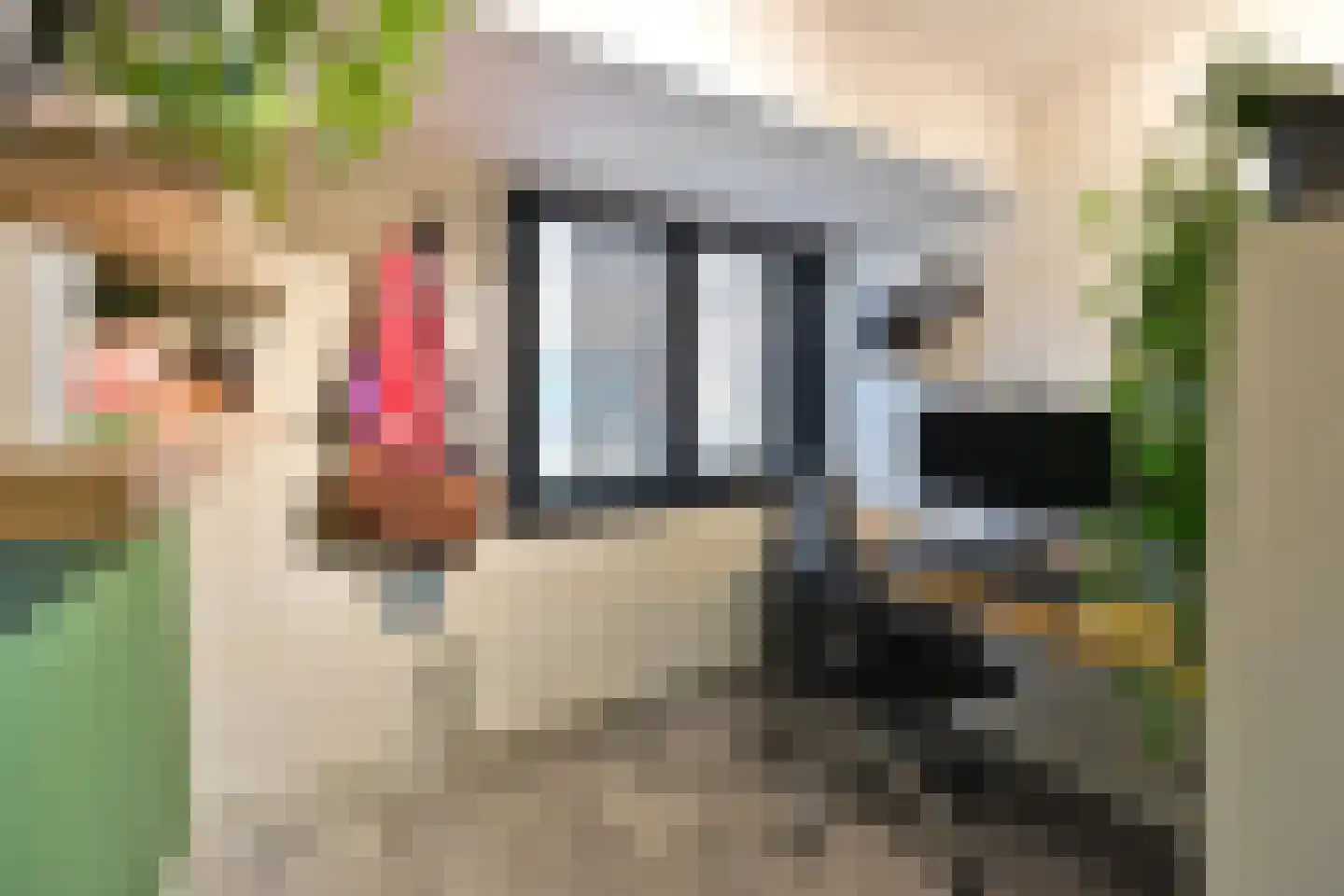 Hoge Larenseweg 82 Hilversum thumbnail 11