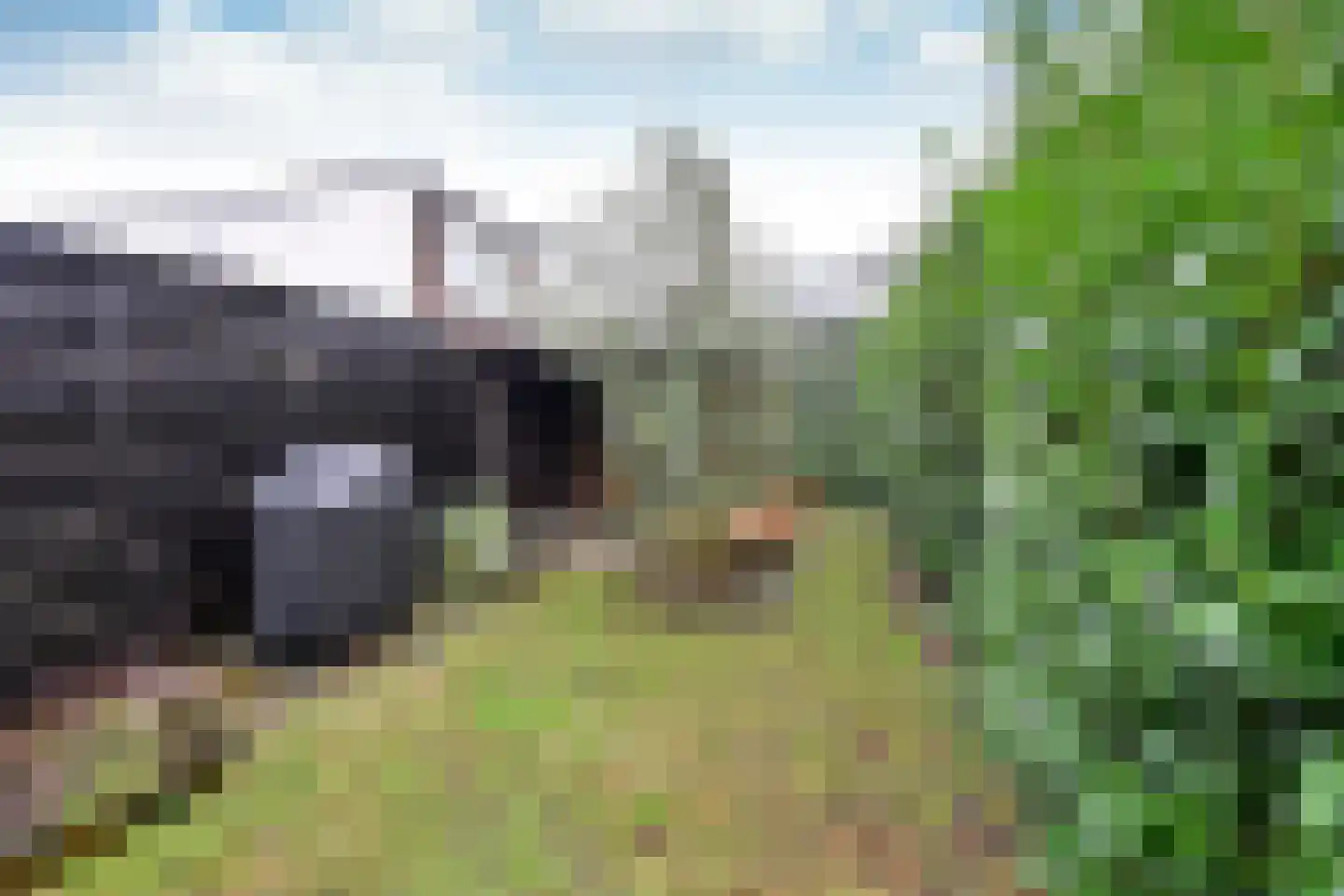 Hoge Larenseweg 82 Hilversum thumbnail 16