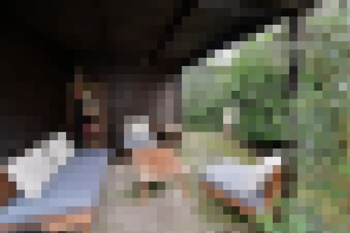 Hoge Larenseweg 82 Hilversum thumbnail 17