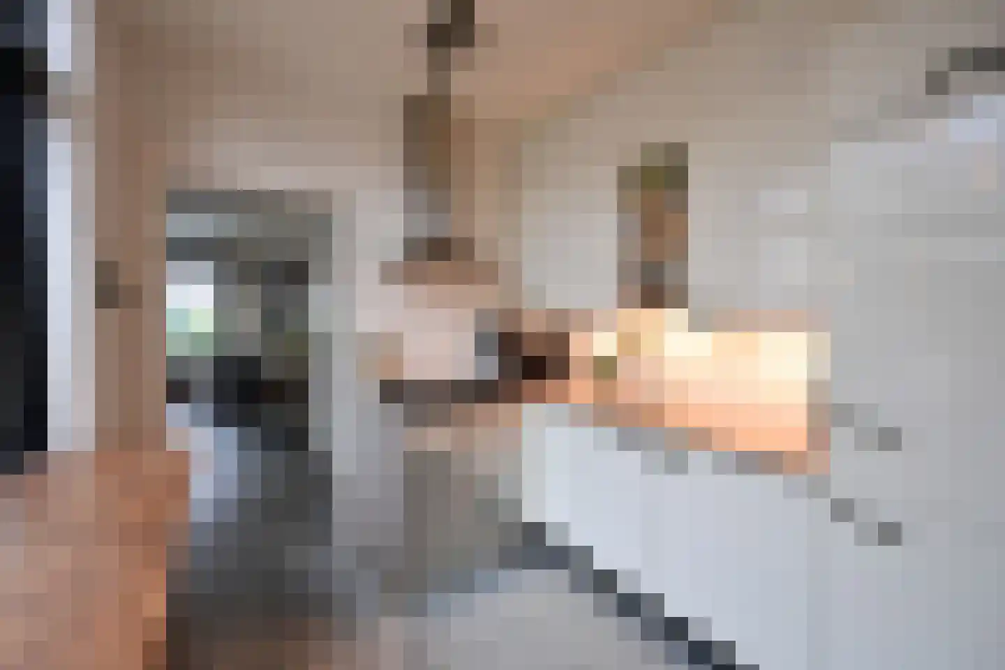 Hoge Larenseweg 82 Hilversum thumbnail 7