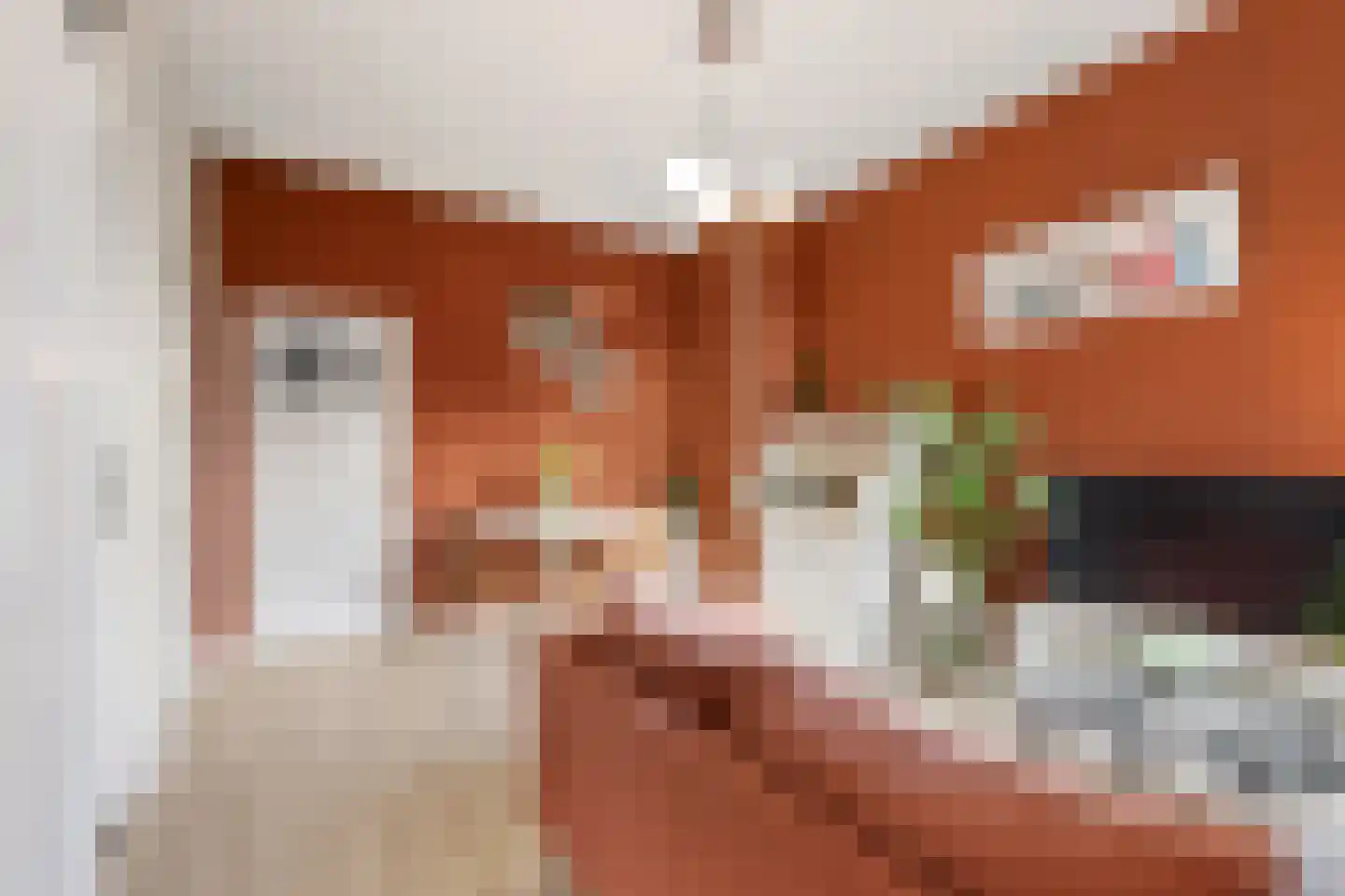 Hoge Larenseweg 84 Hilversum thumbnail 7