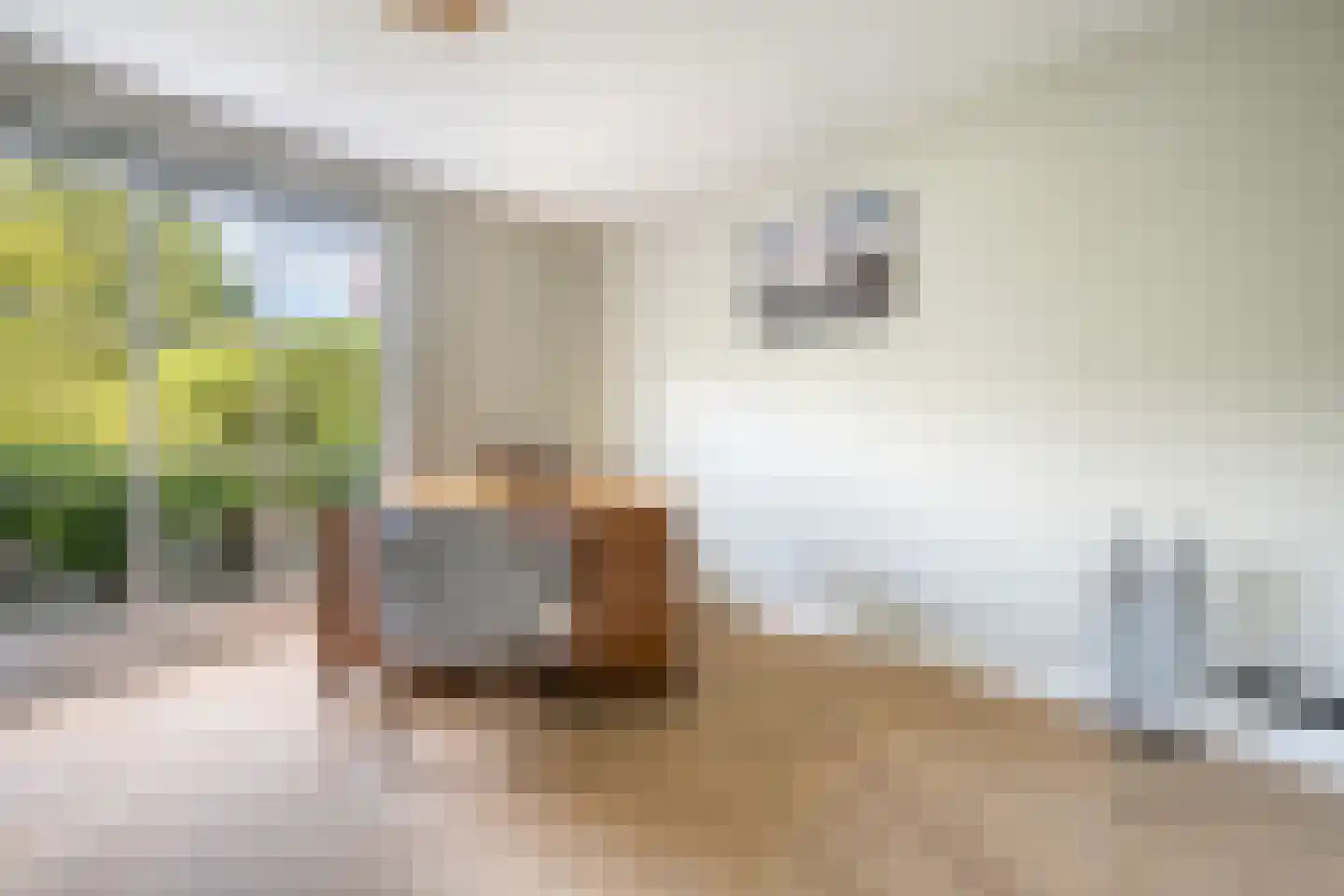 Hoge Maasdijk 13 Hedikhuizen thumbnail 20