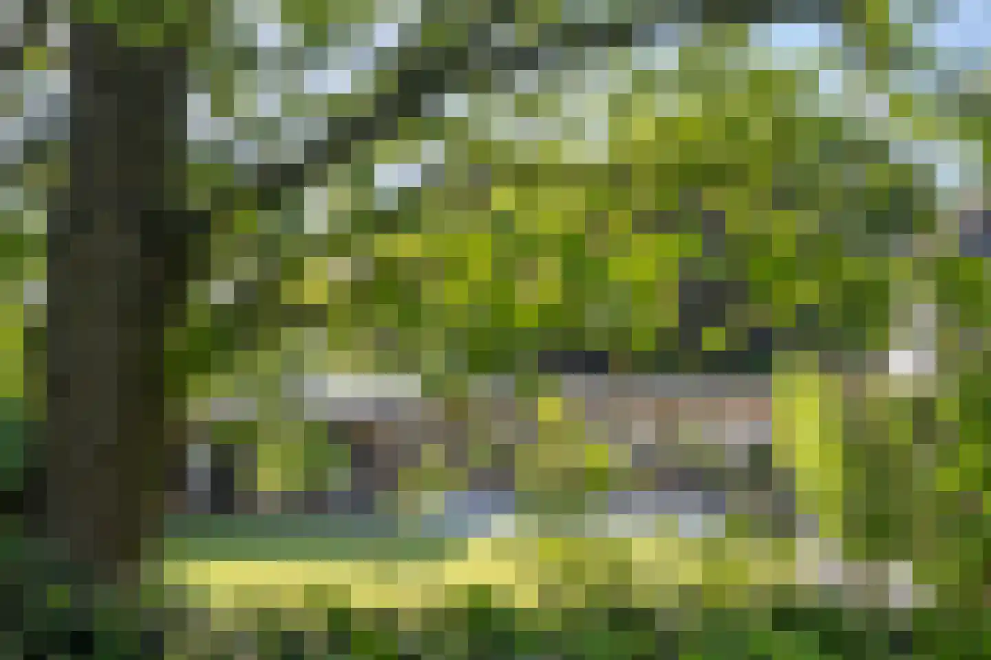 Hoge Maasdijk 13 Hedikhuizen thumbnail 35