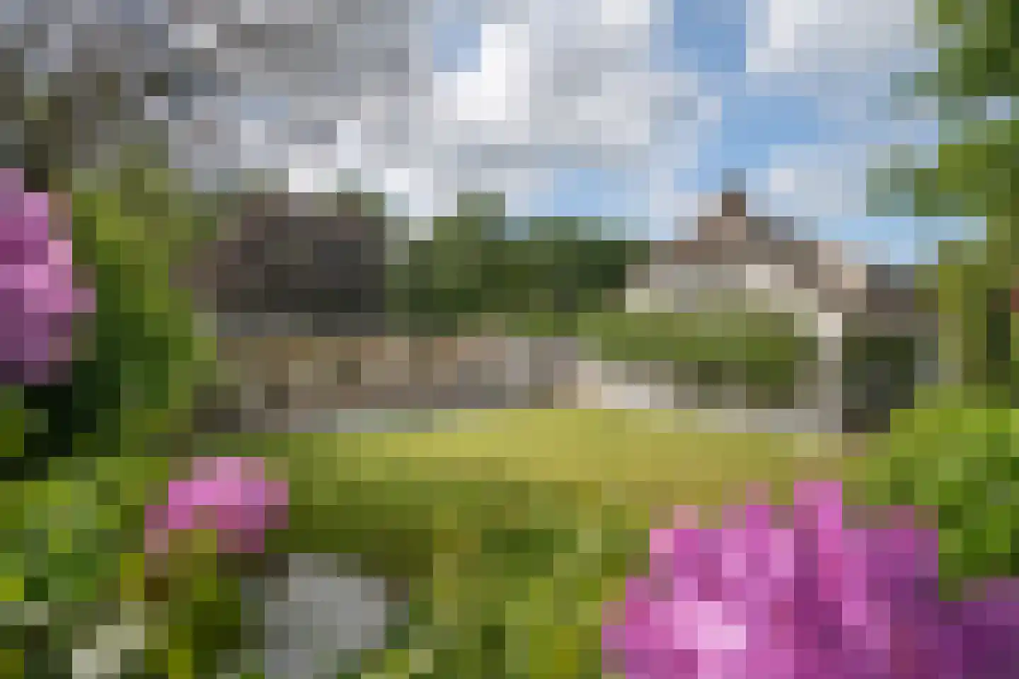 Hoge Maasdijk 13 Hedikhuizen thumbnail 36