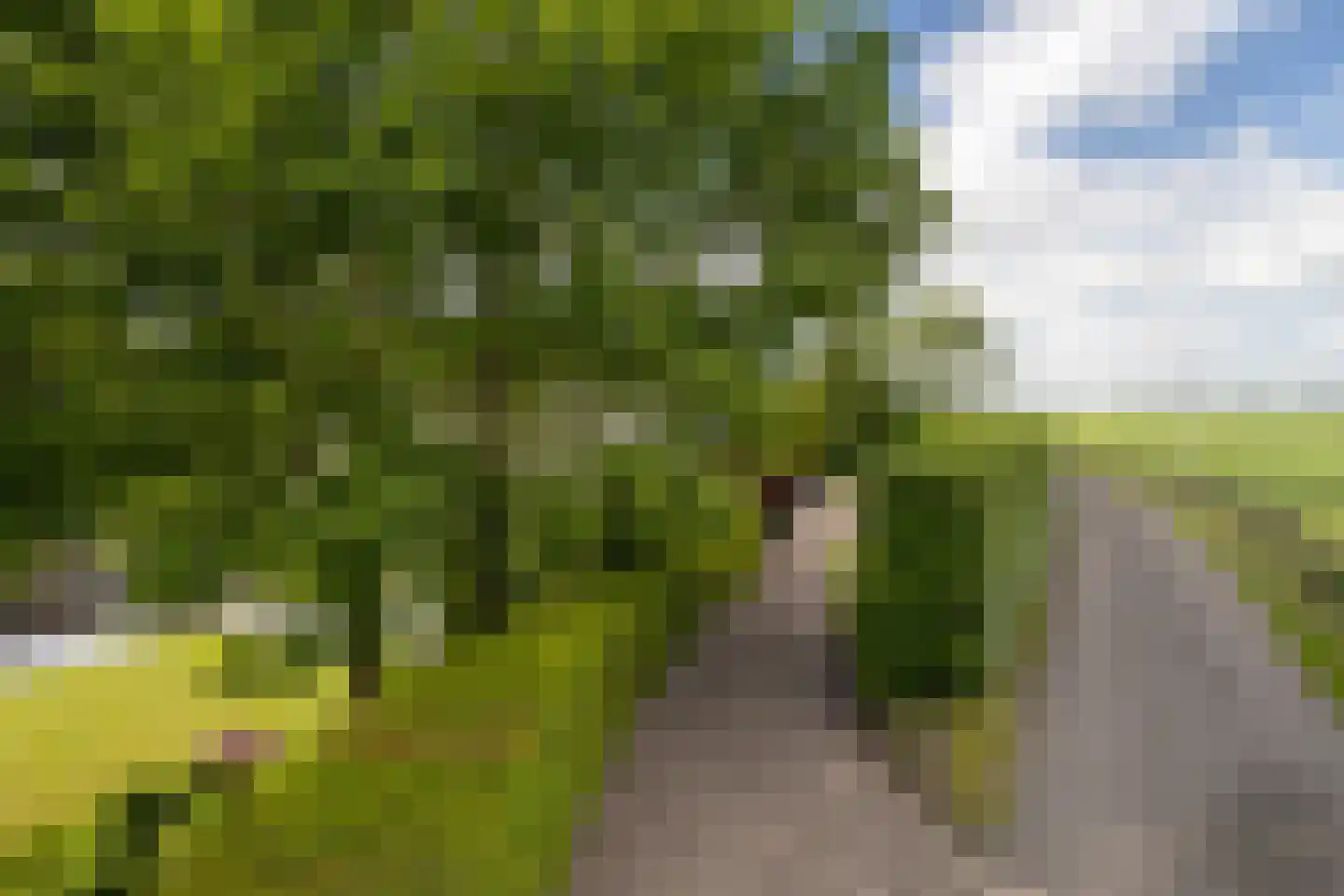 Hoge Maasdijk 13 Hedikhuizen thumbnail 39