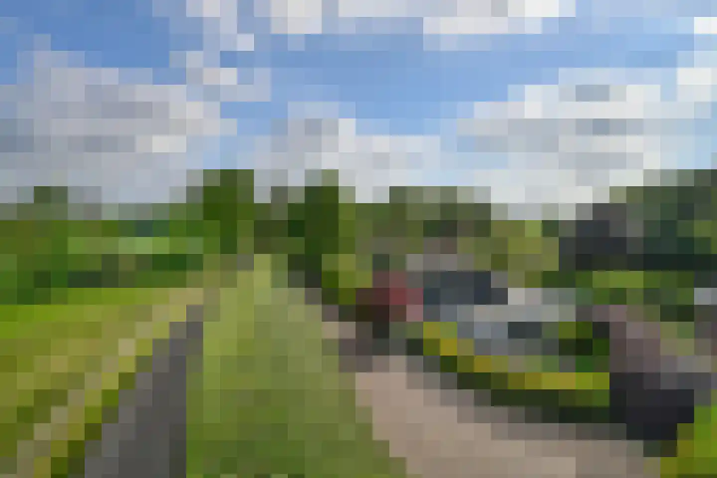 Hoge Maasdijk 13 Hedikhuizen thumbnail 4