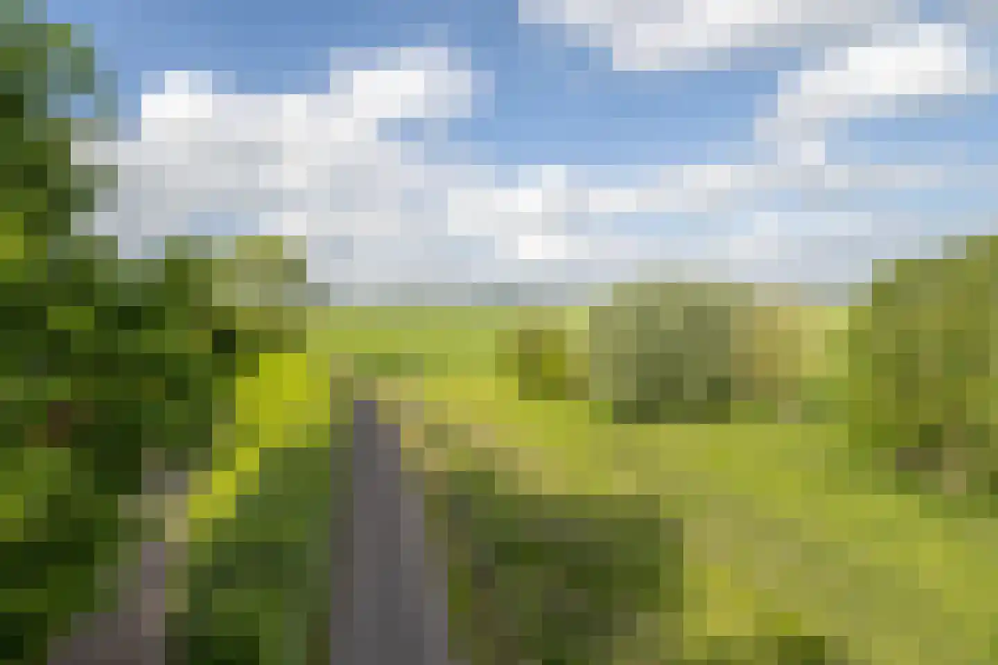 Hoge Maasdijk 13 Hedikhuizen thumbnail 42