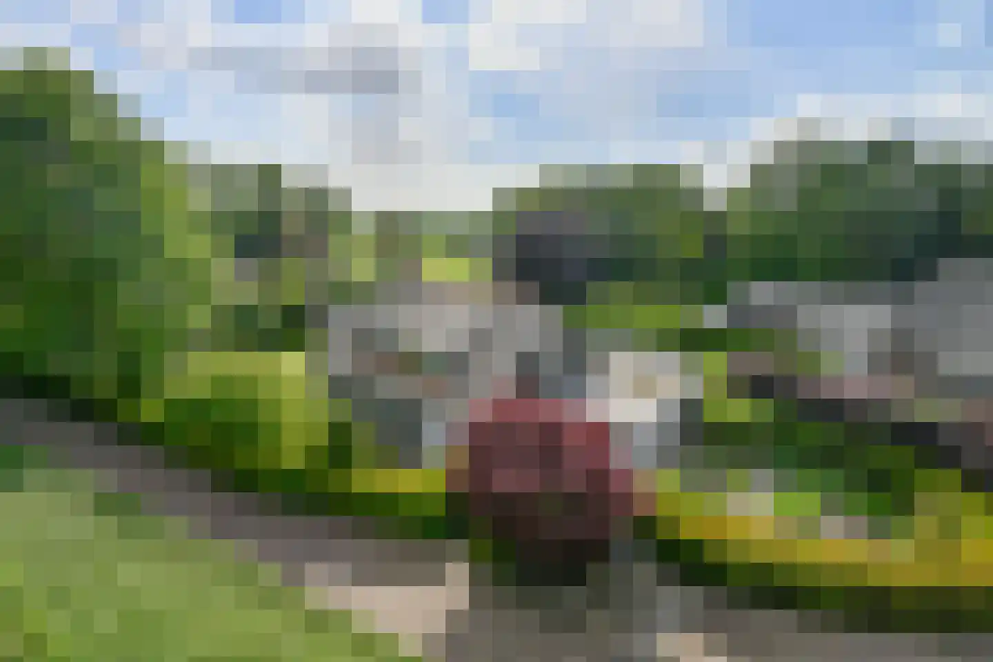 Hoge Maasdijk 13 Hedikhuizen thumbnail 5