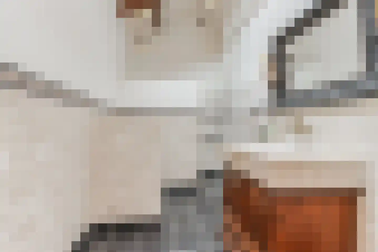 Hoge Maasdijk 14 Andel thumbnail 10