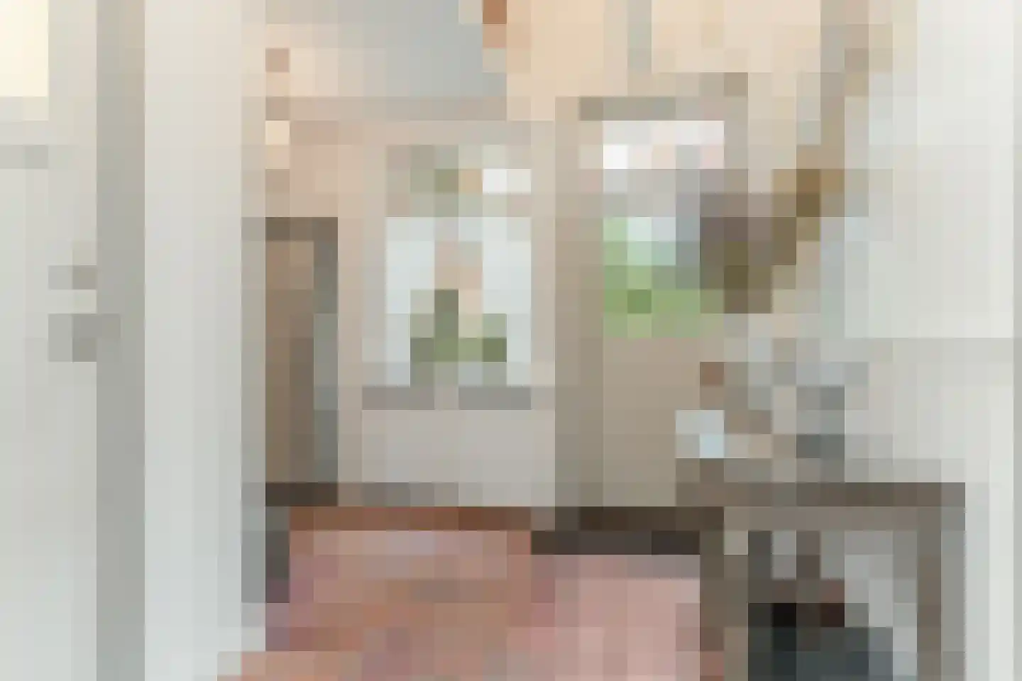 Hoge Maasdijk 14 Andel thumbnail 17