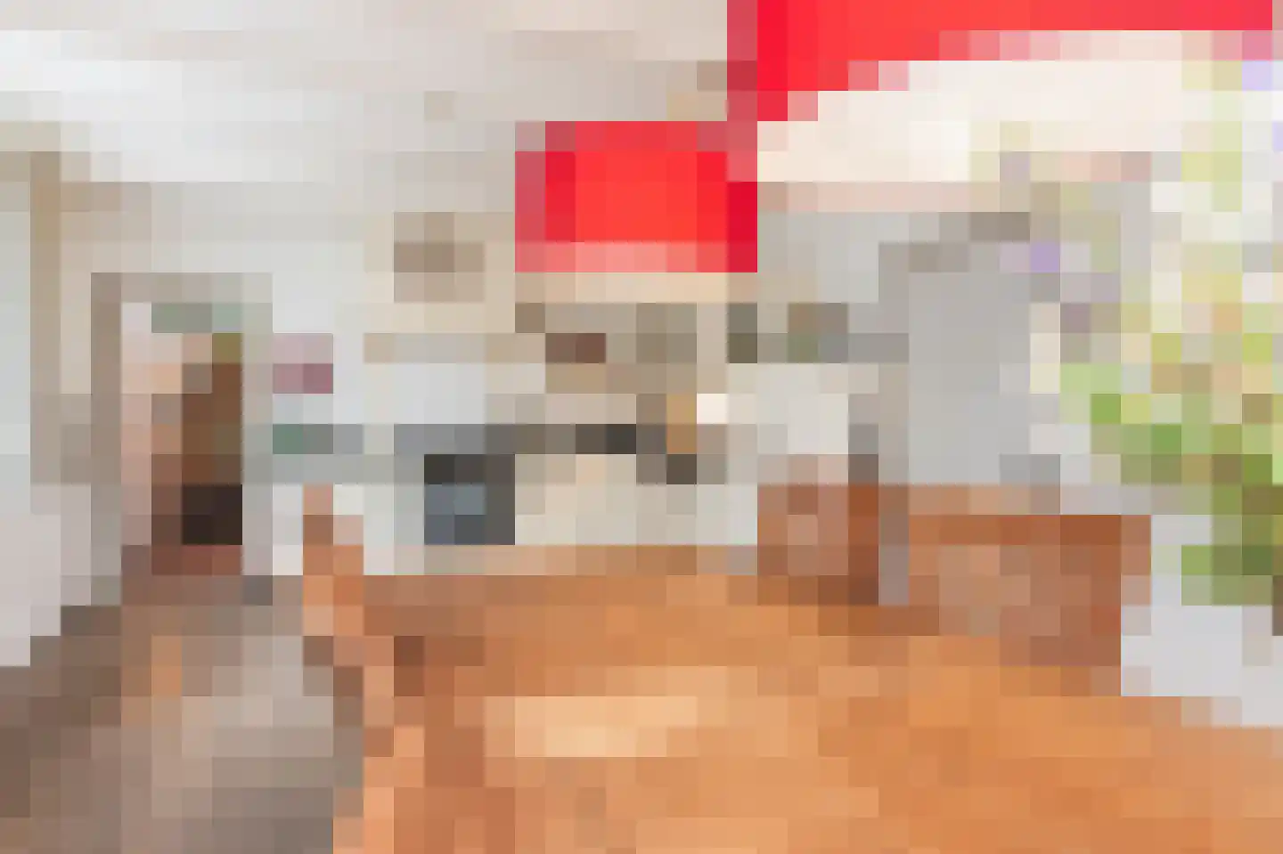 Hoge Maasdijk 14 Andel thumbnail 20