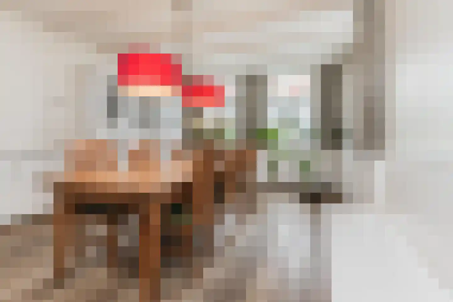 Hoge Maasdijk 14 Andel thumbnail 22