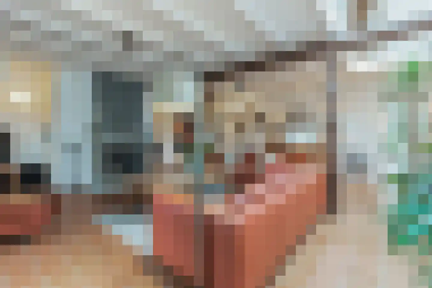 Hoge Maasdijk 14 Andel thumbnail 27