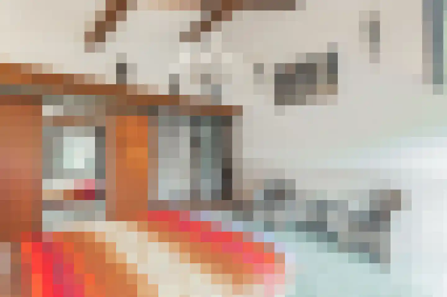 Hoge Maasdijk 14 Andel thumbnail 28
