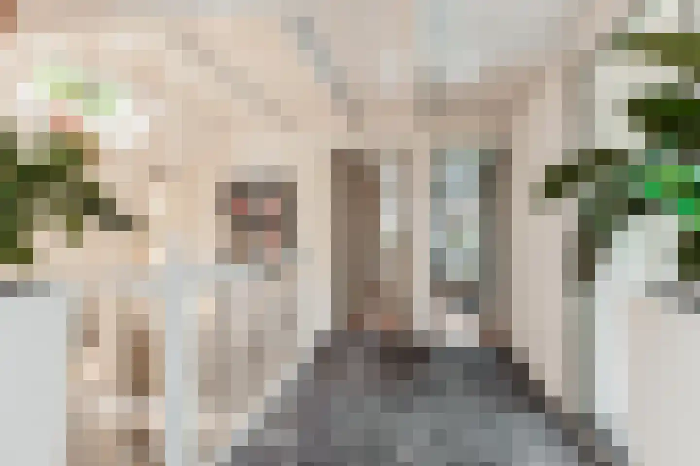 Hoge Maasdijk 14 Andel thumbnail 36