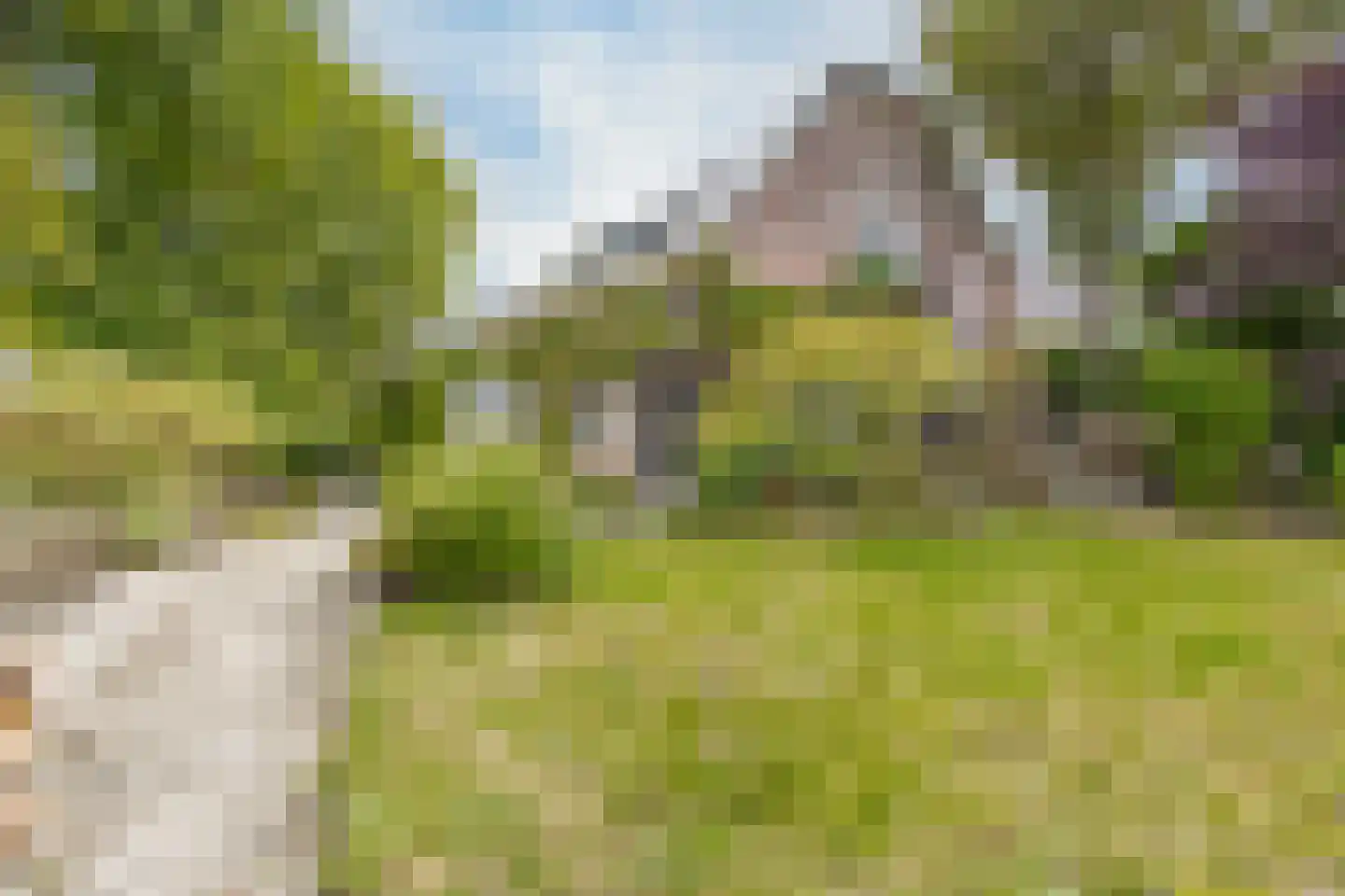 Hoge Maasdijk 14 Andel thumbnail 5