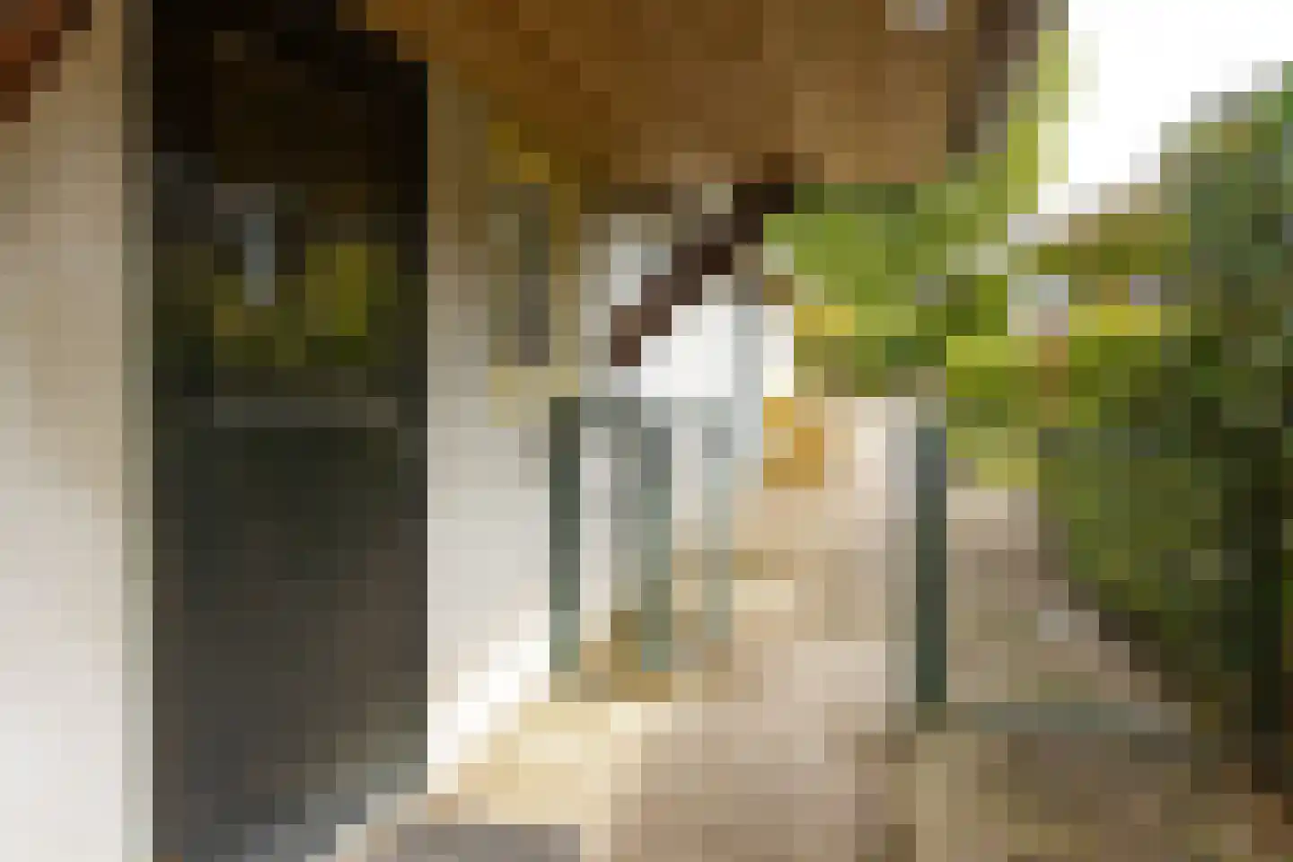Hoge Maasdijk 14 Andel thumbnail 56