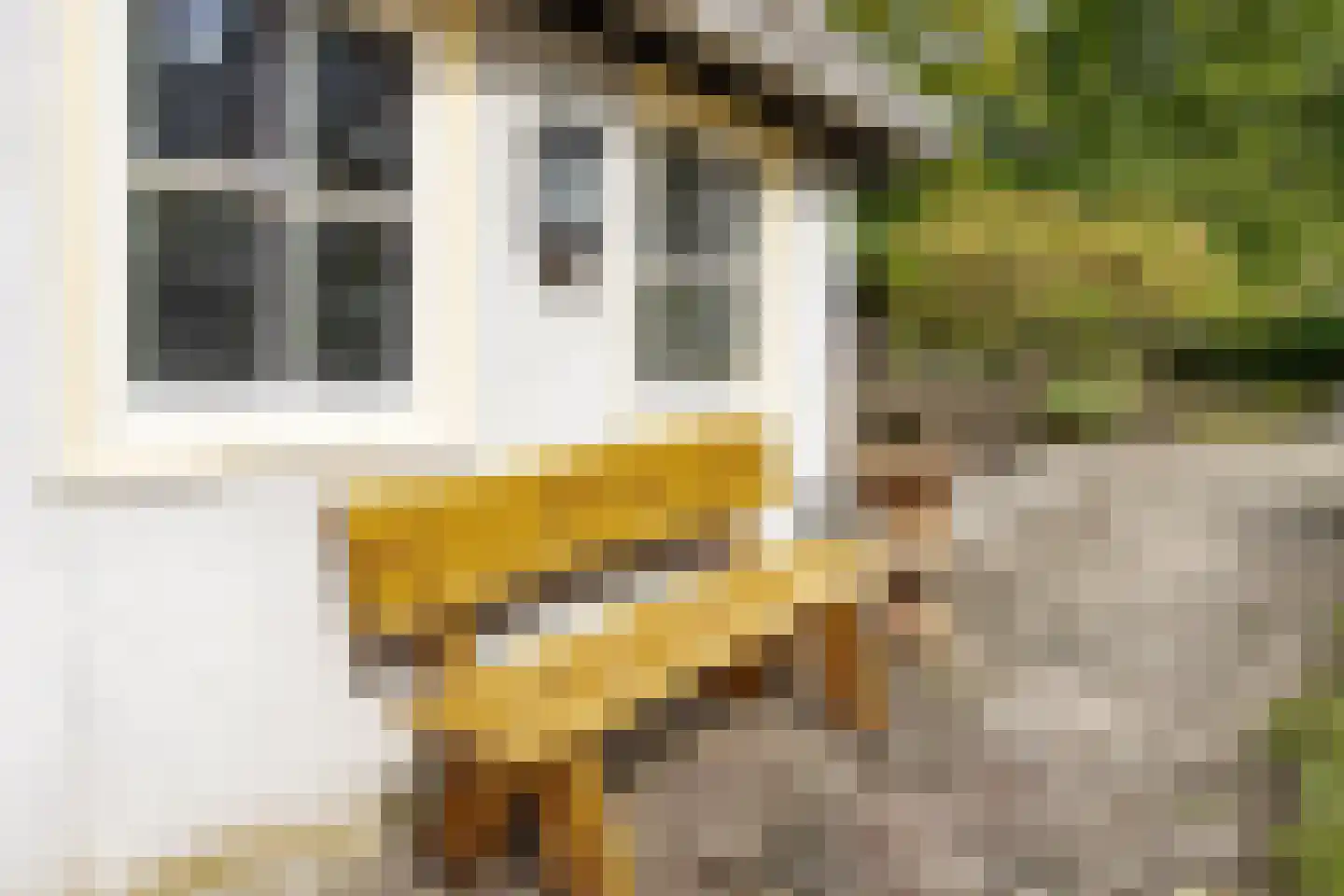 Hoge Maasdijk 14 Andel thumbnail 57