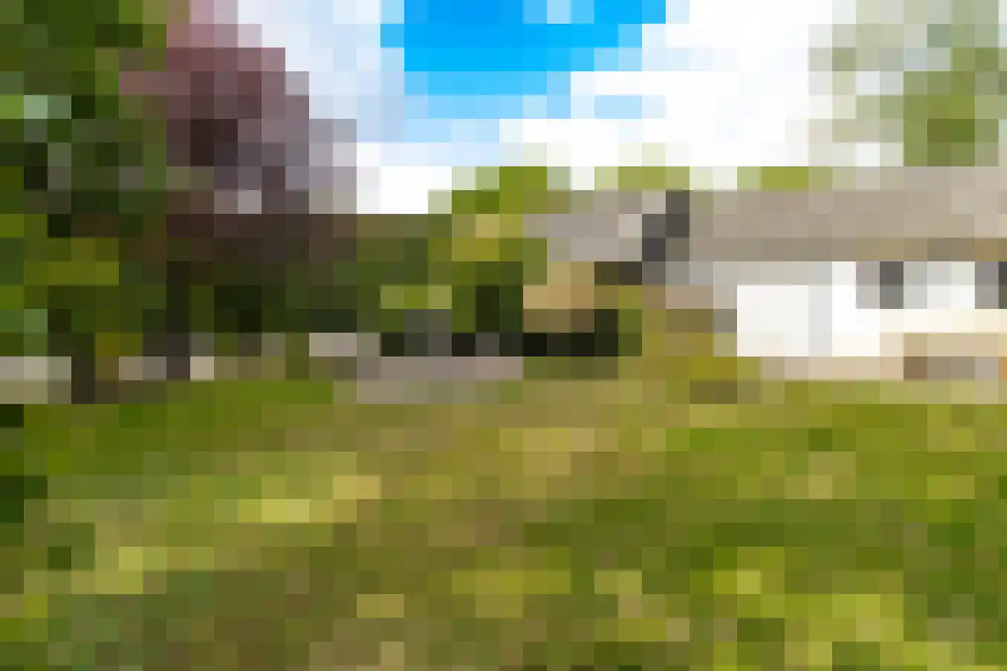 Hoge Maasdijk 14 Andel thumbnail 58