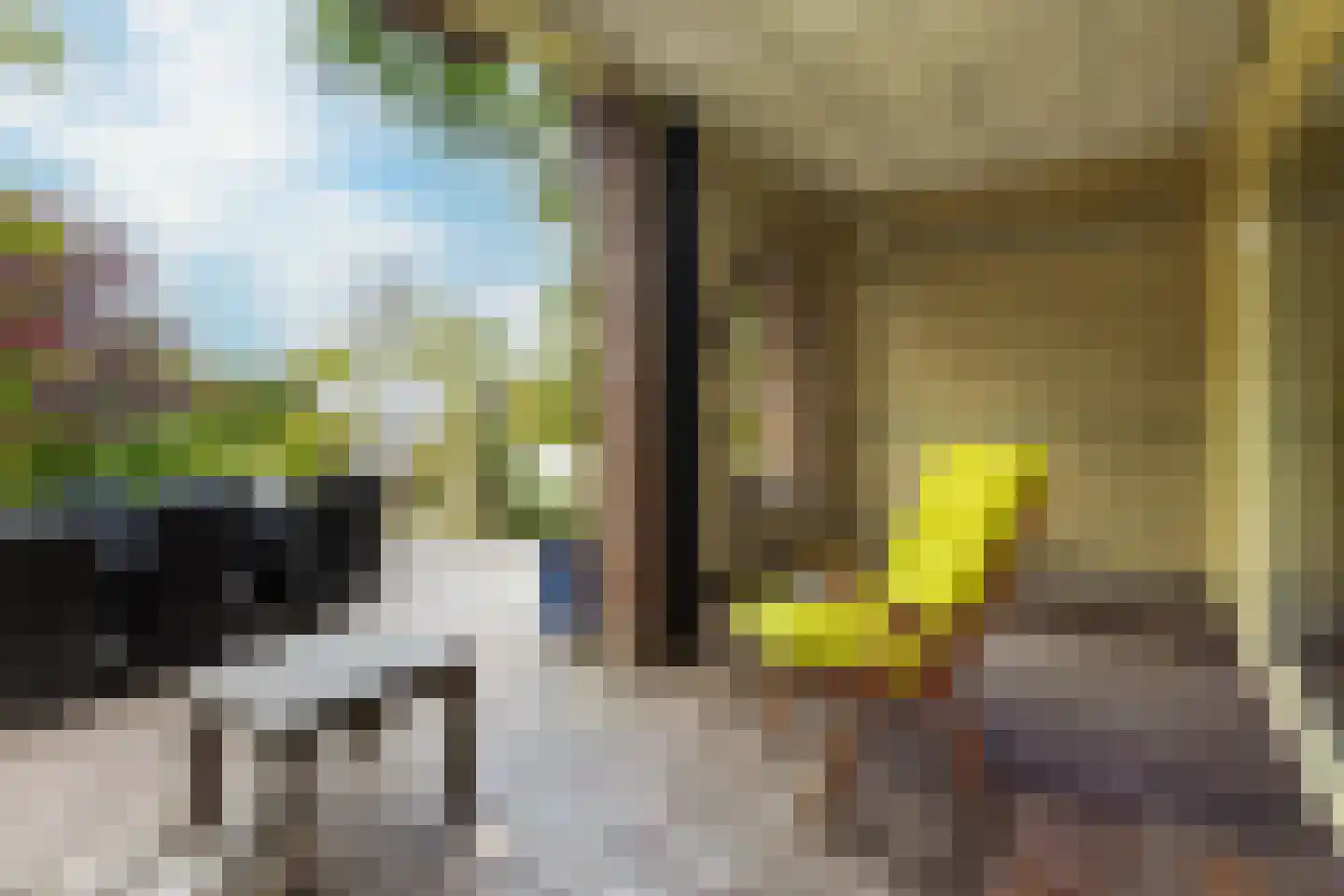 Hoge Maasdijk 14 Andel thumbnail 60