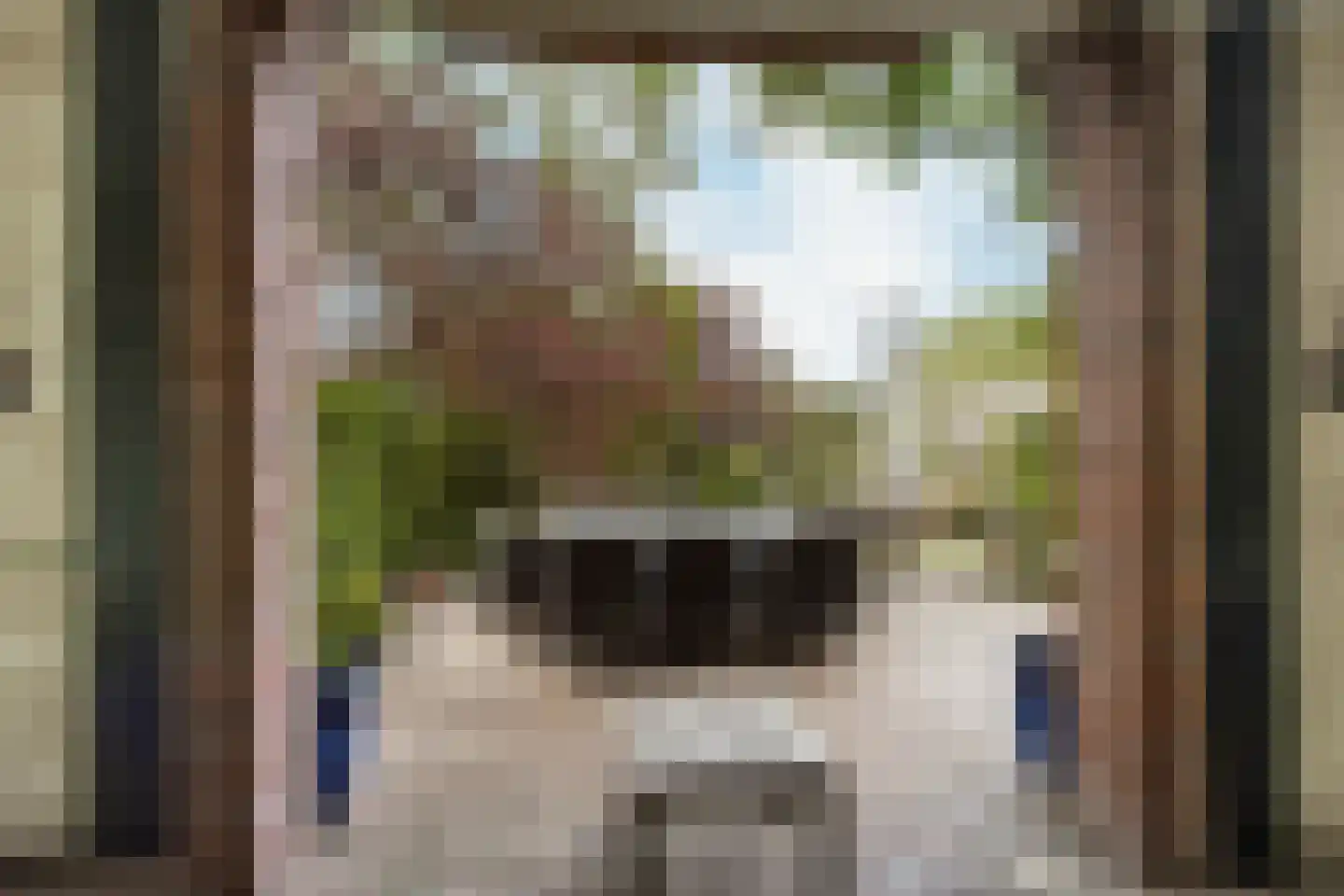 Hoge Maasdijk 14 Andel thumbnail 61