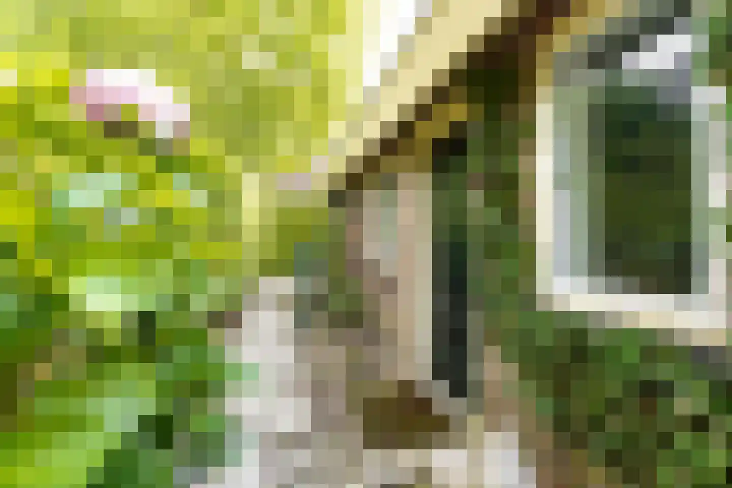Hoge Maasdijk 14 Andel thumbnail 62