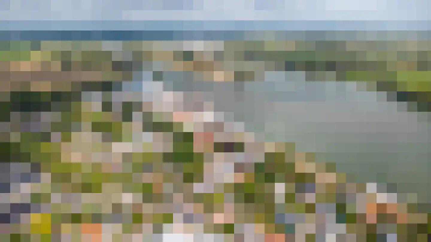 Hoge Maasdijk 14 Andel thumbnail 65