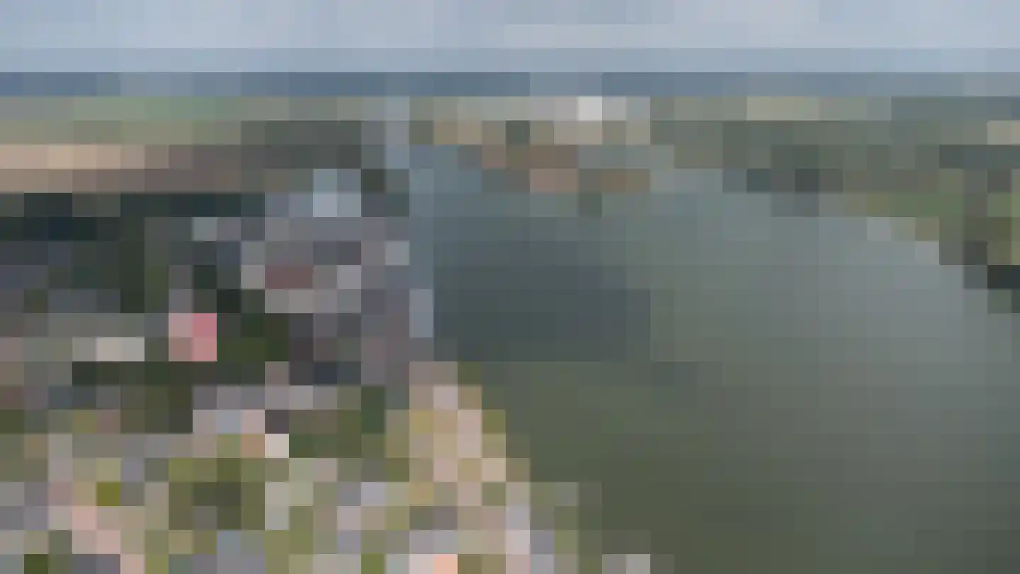 Hoge Maasdijk 14 Andel thumbnail 66