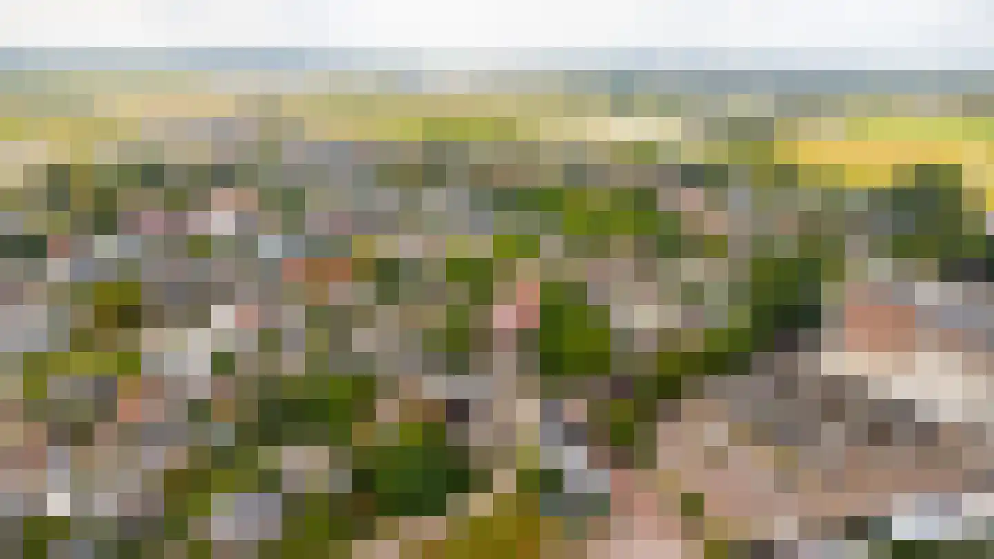 Hoge Maasdijk 14 Andel thumbnail 67