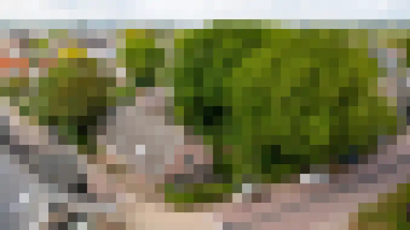 Hoge Maasdijk 14 Andel thumbnail 68