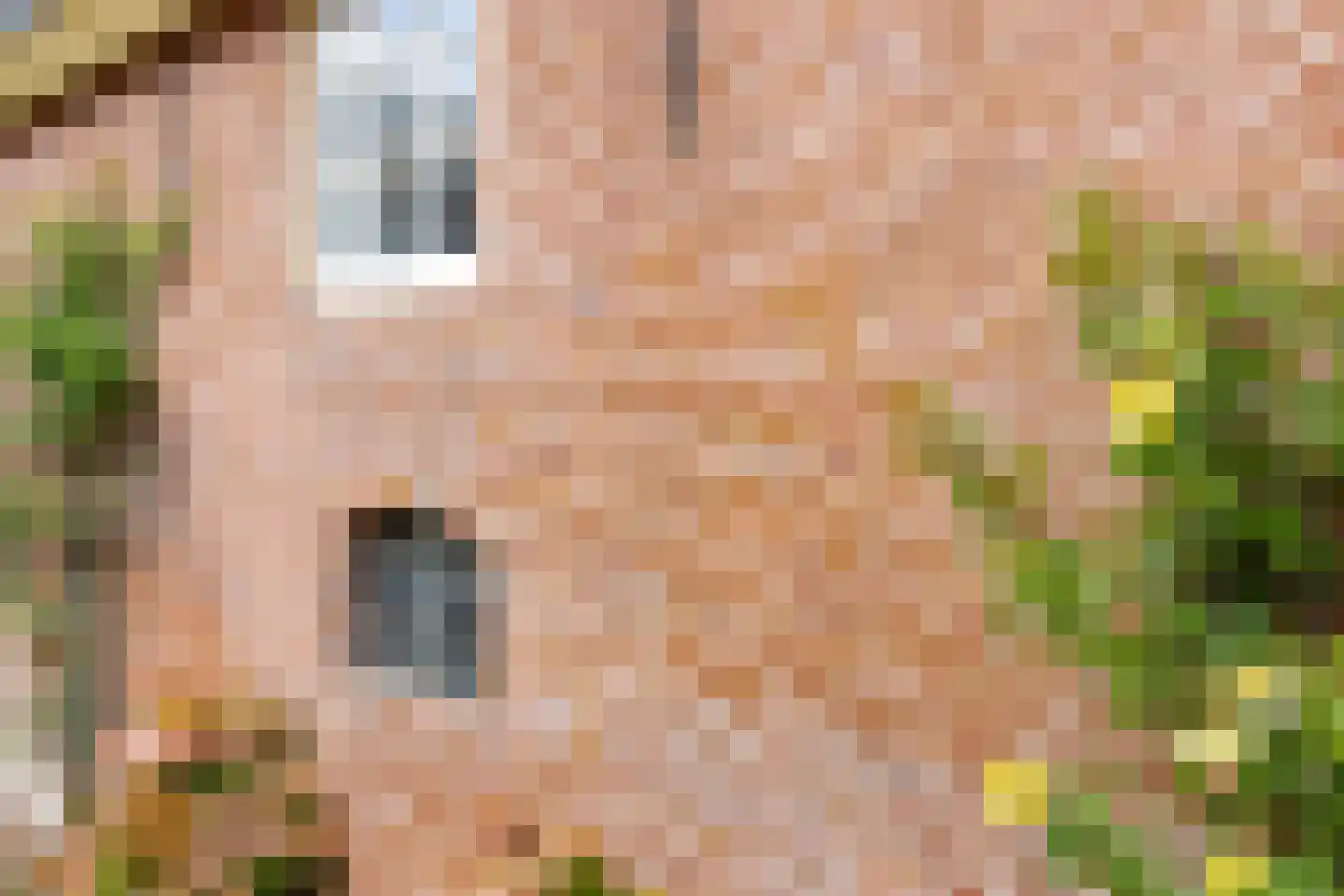 Hoge Maasdijk 14 Andel thumbnail 69