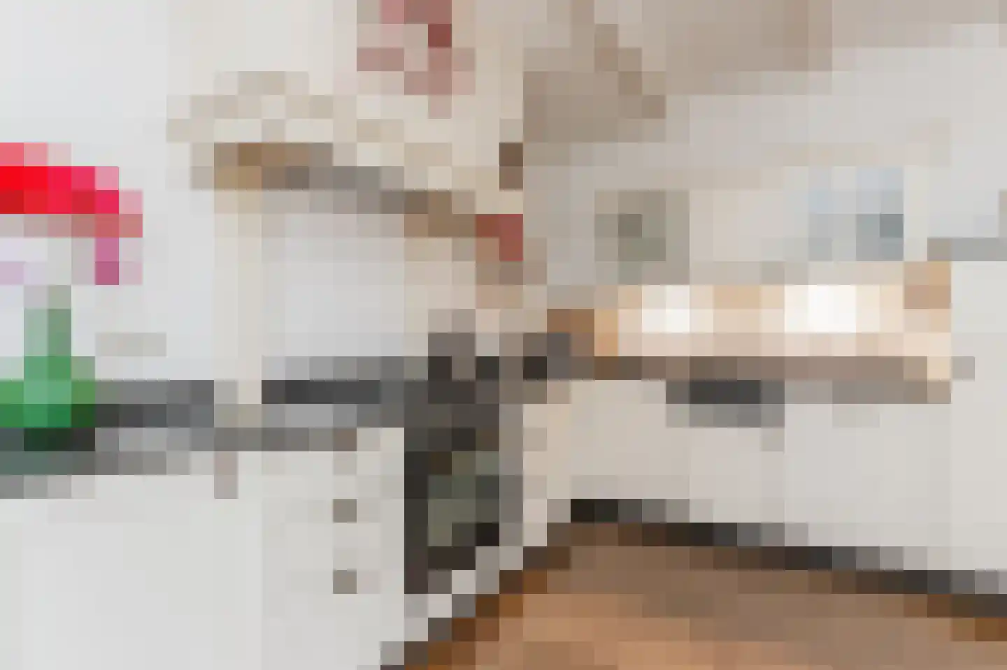 Hoge Maasdijk 14 Andel thumbnail 7
