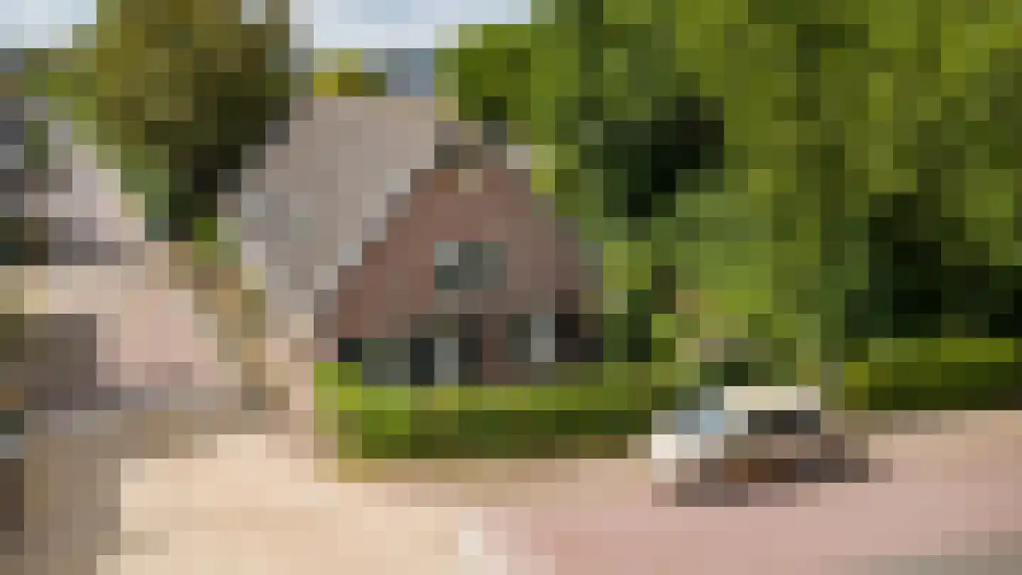 Hoge Maasdijk 14 Andel thumbnail 70