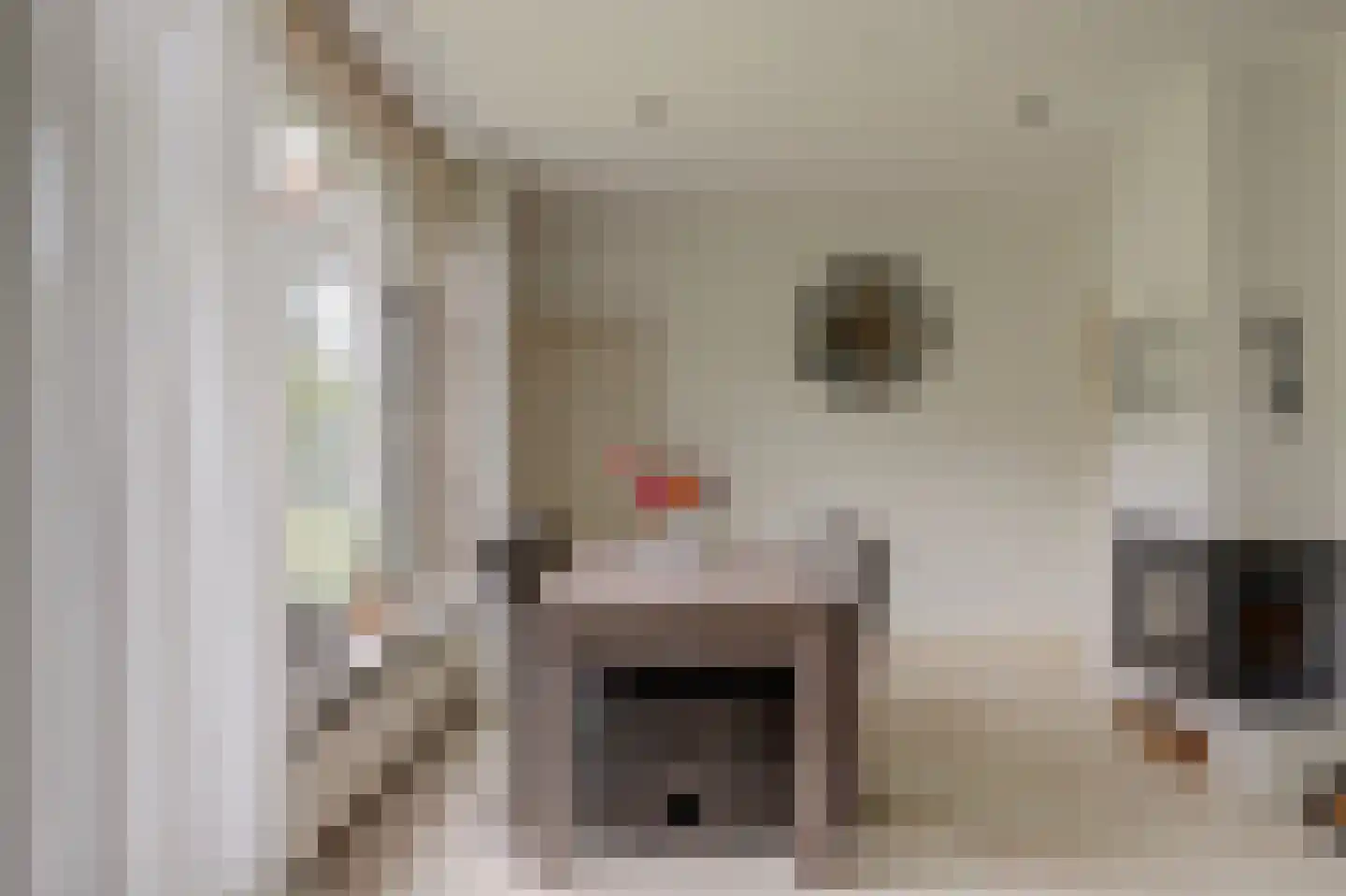 Hoge Maasdijk 152 Andel thumbnail 11