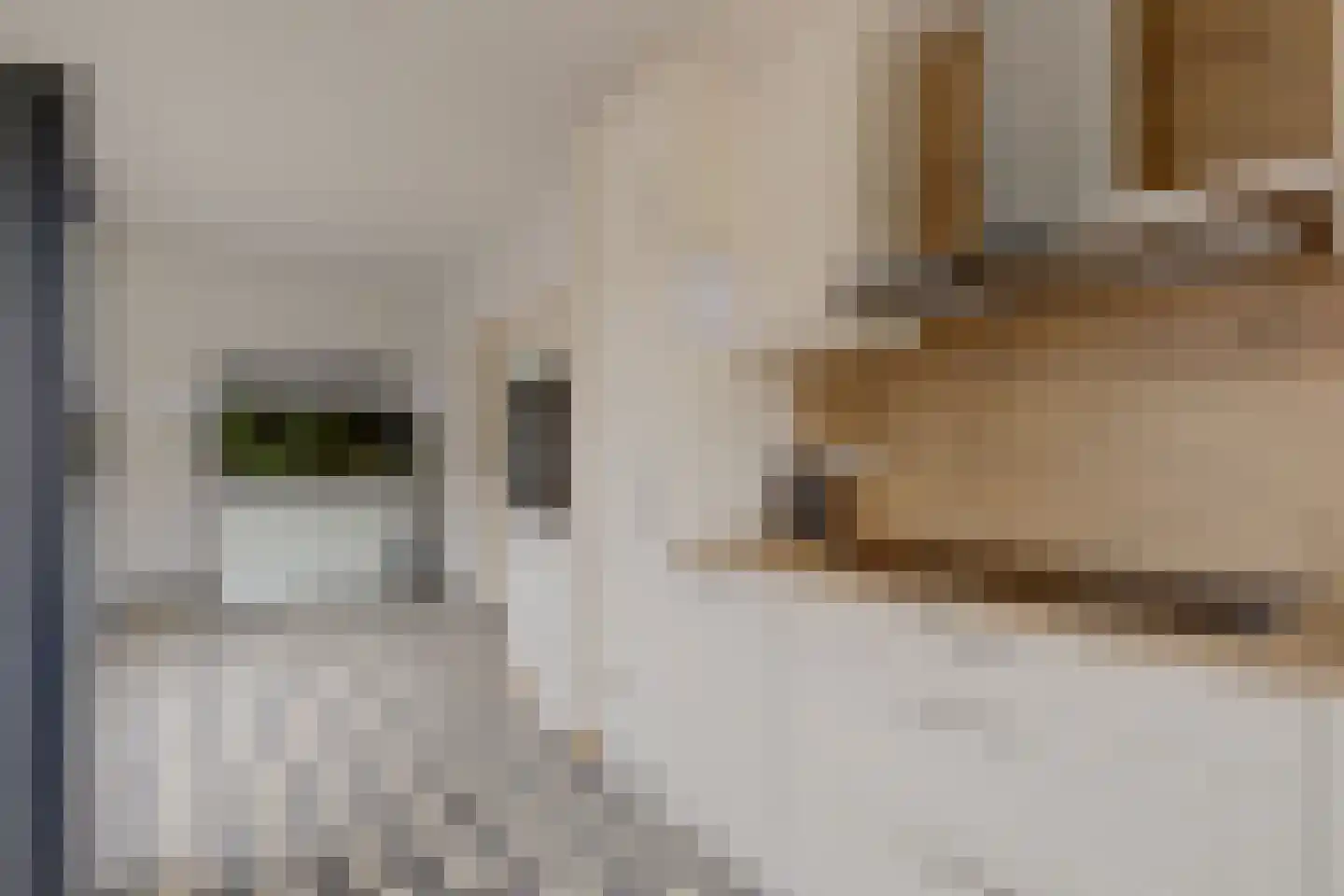 Hoge Maasdijk 152 Andel thumbnail 12
