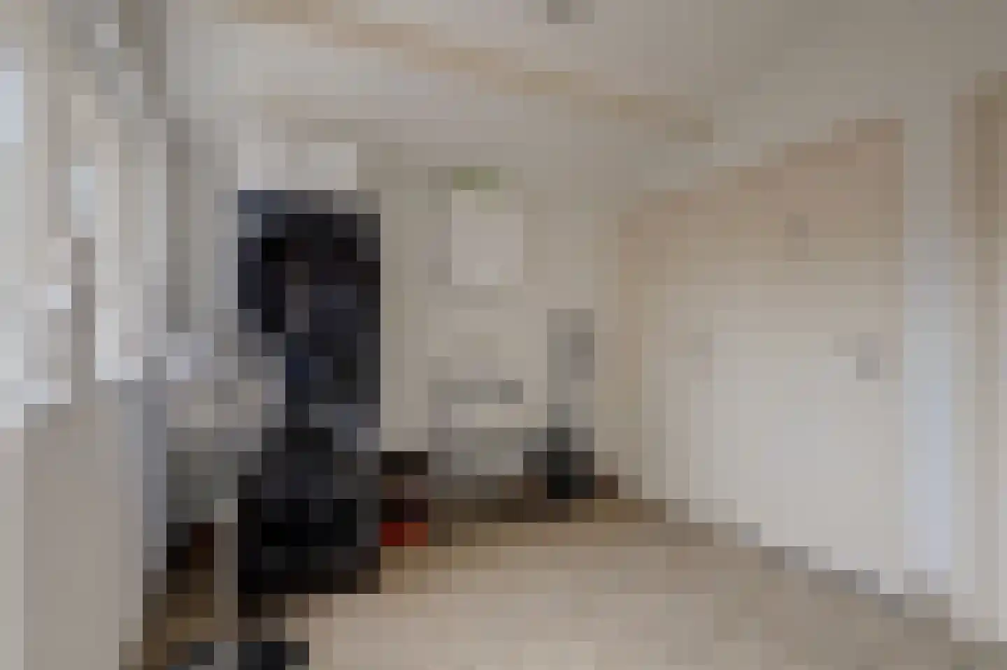 Hoge Maasdijk 152 Andel thumbnail 15