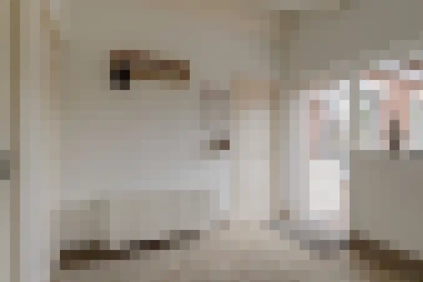 Hoge Maasdijk 152 Andel thumbnail 16