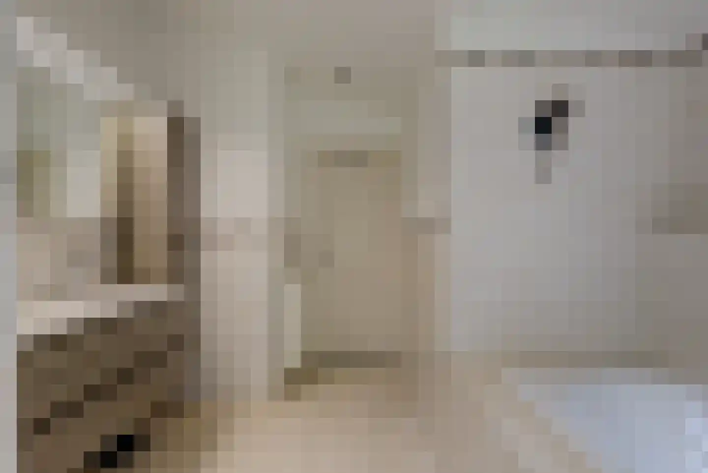 Hoge Maasdijk 152 Andel thumbnail 23