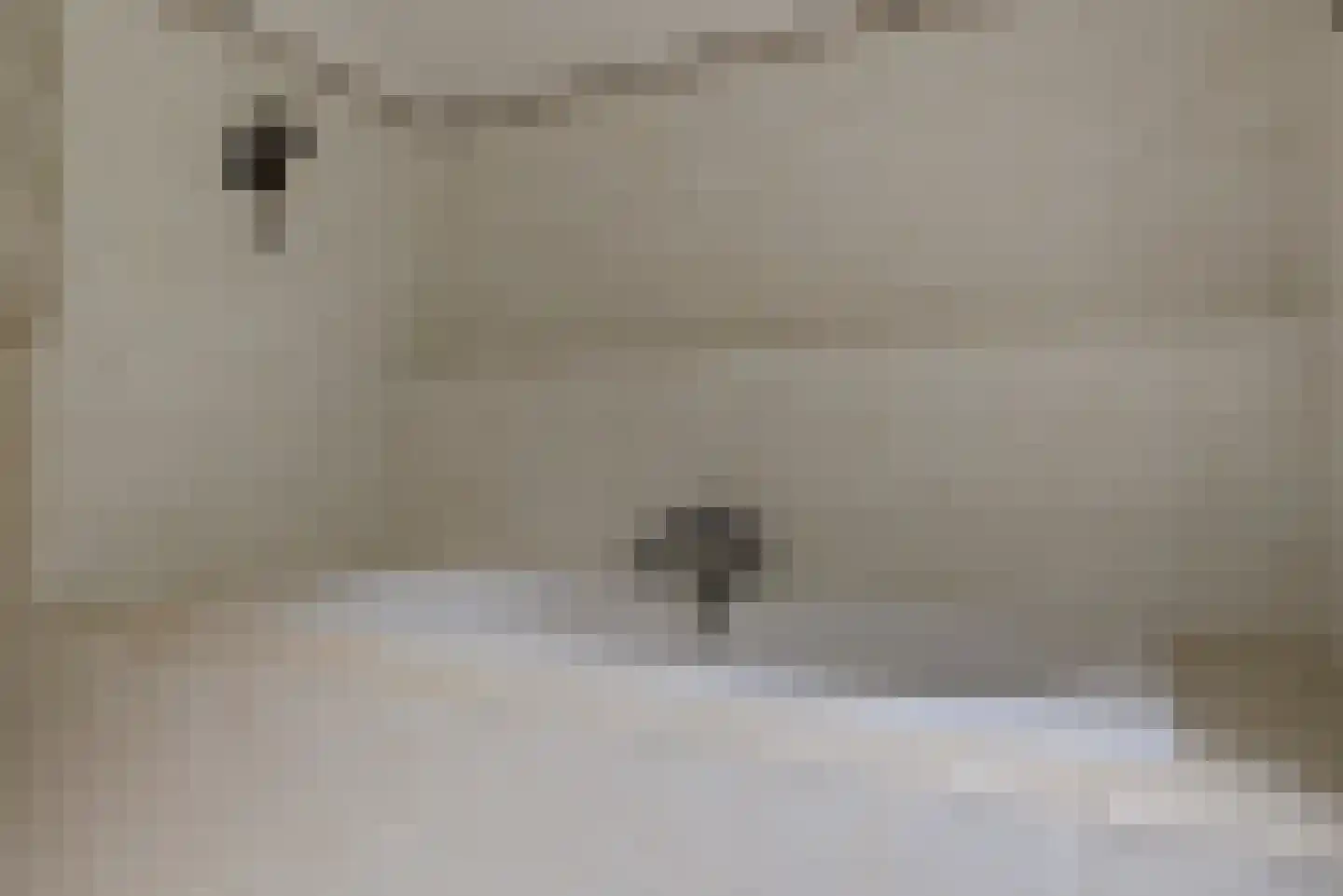 Hoge Maasdijk 152 Andel thumbnail 24