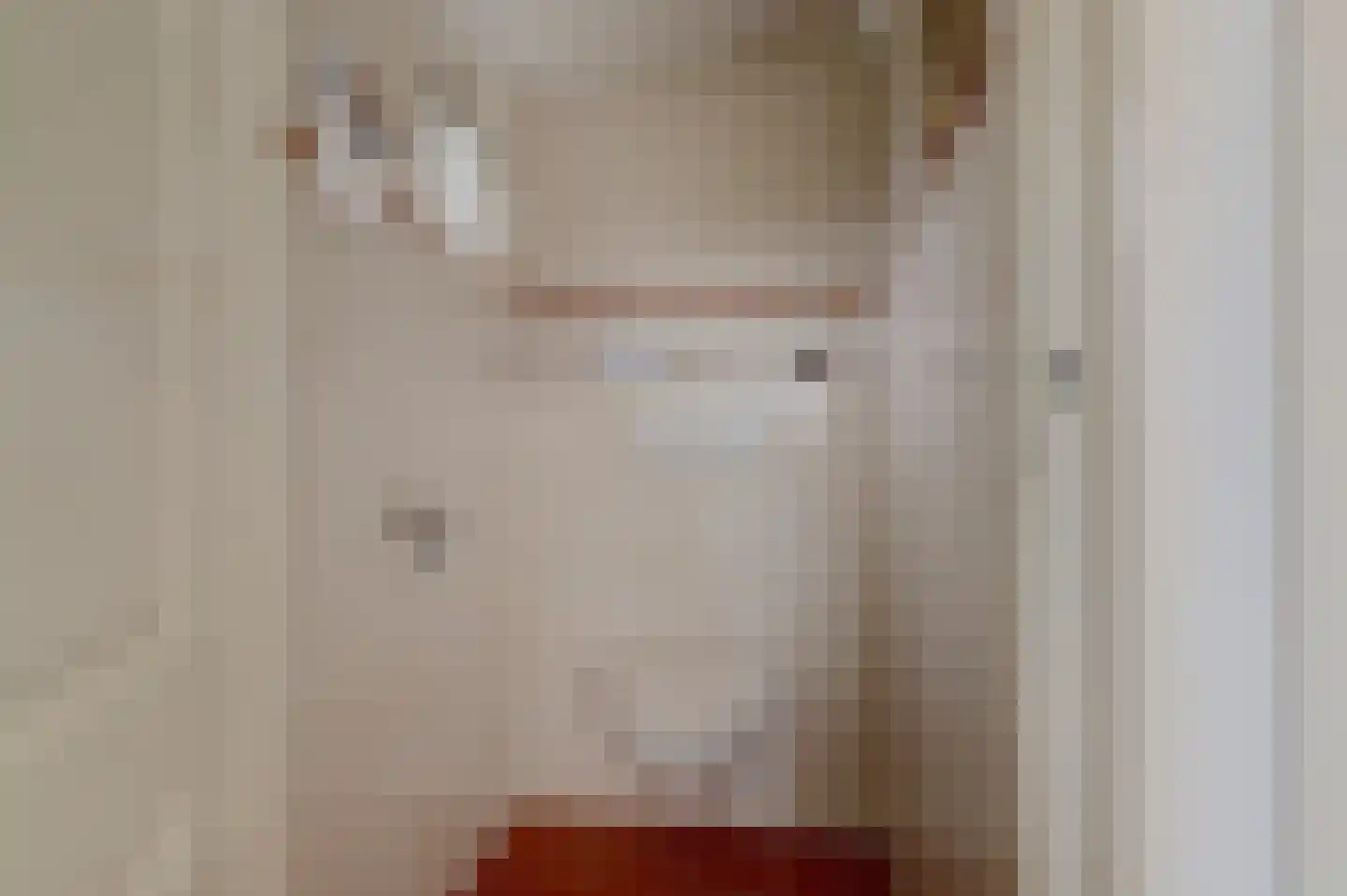 Hoge Maasdijk 152 Andel thumbnail 29