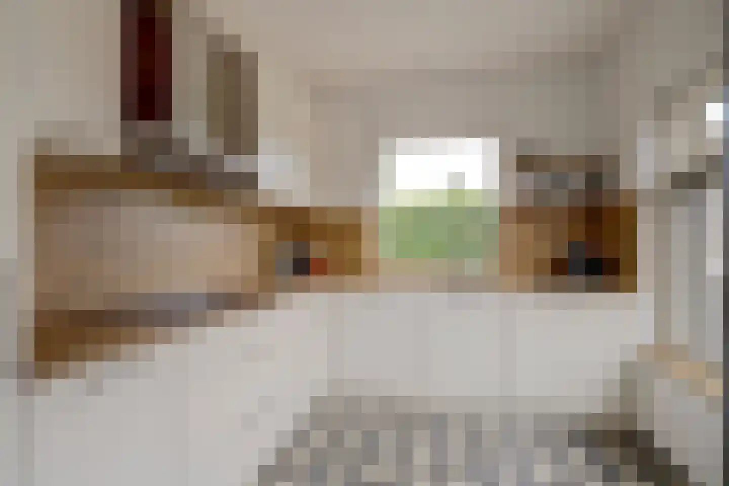 Hoge Maasdijk 152 Andel foto 3