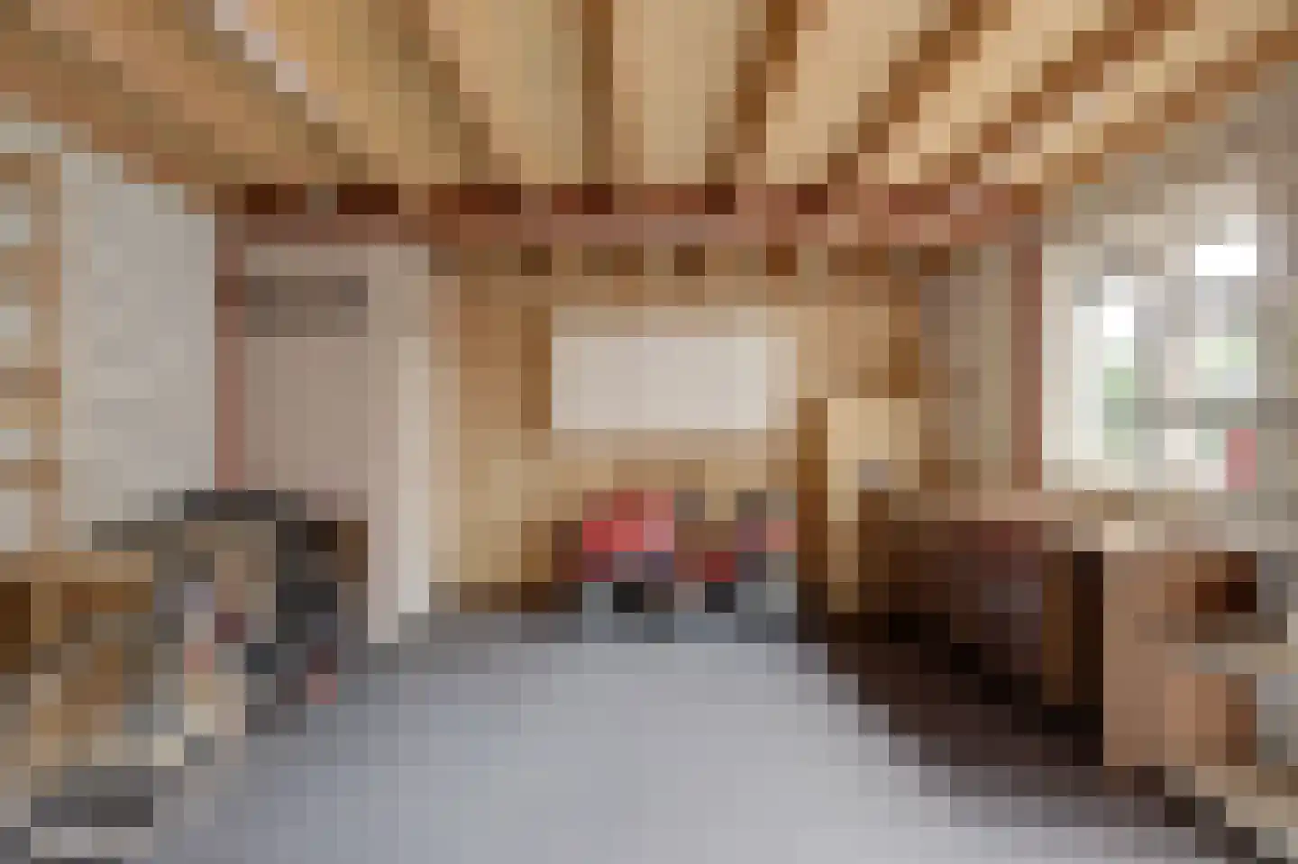 Hoge Maasdijk 152 Andel thumbnail 30