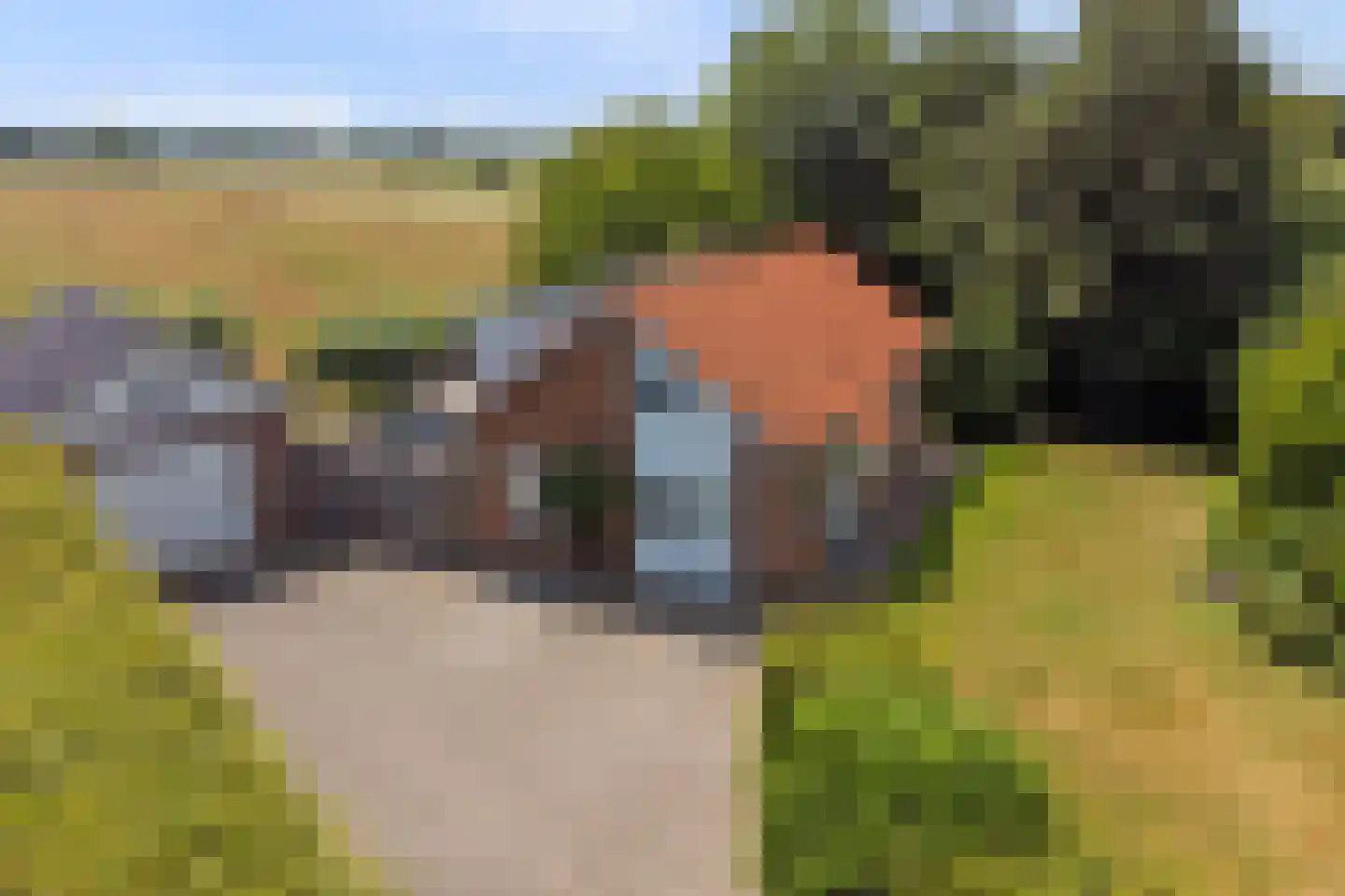Hoge Maasdijk 152 Andel thumbnail 35