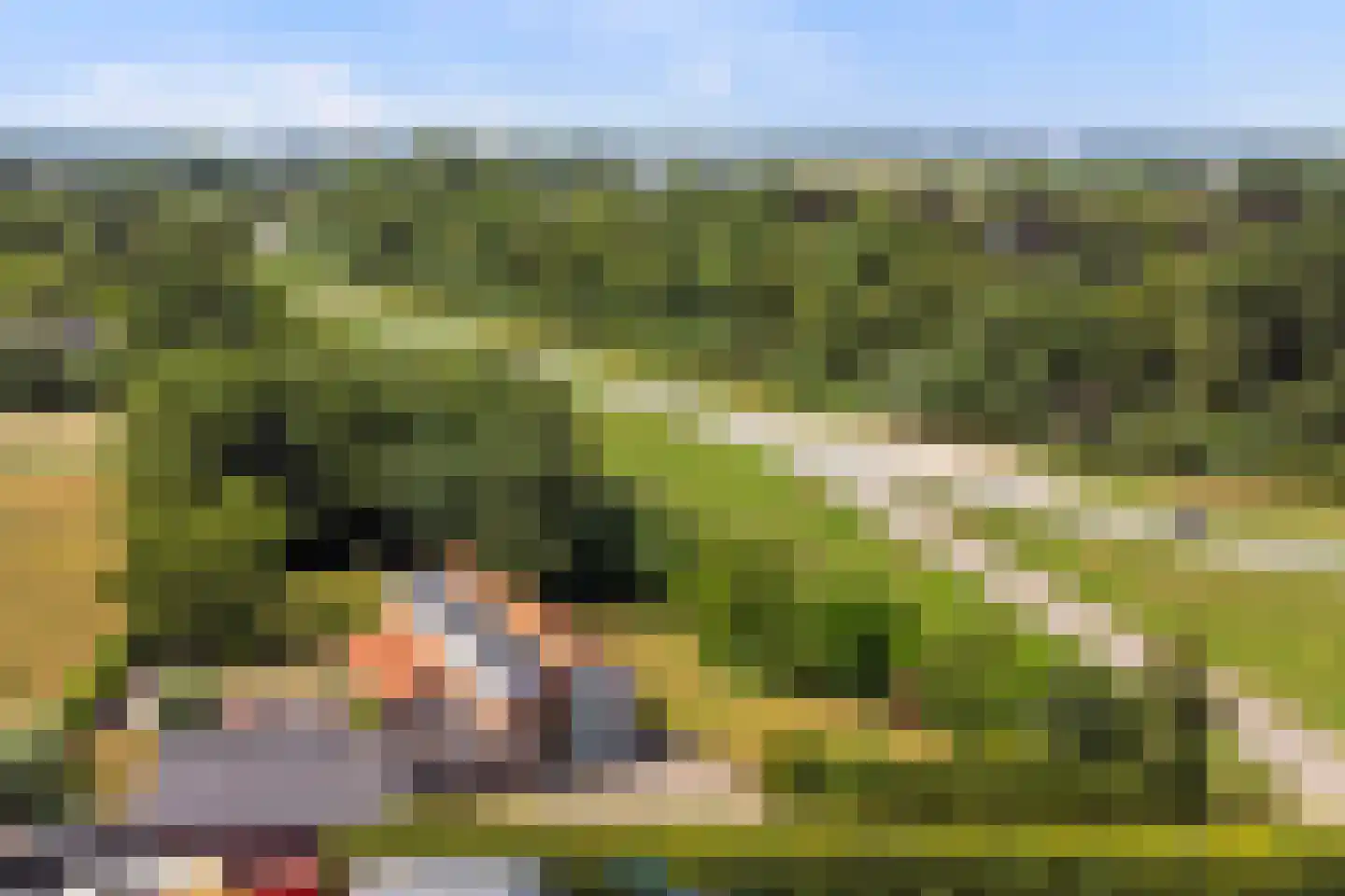 Hoge Maasdijk 152 Andel thumbnail 37